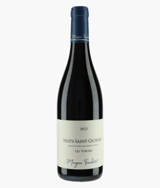 TRUCHETET MORGAN | Nuits-Saint-Georges Les Topons 2023