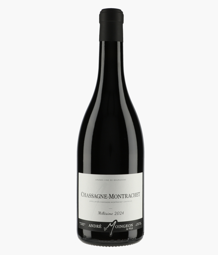 MOINGEON ANDRE & FILS | Chassagne-Montrachet 2024