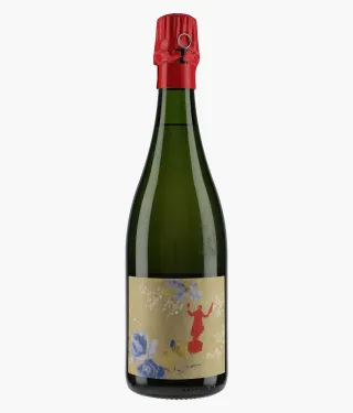 Champagne The ballad of the Villages