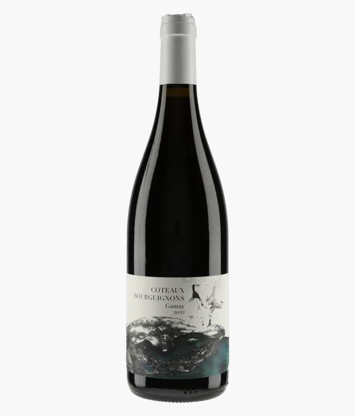 Coteaux Bourguignons Gamay