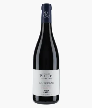 PILLOT ROMAIN ET SIMON | Bourgogne Pinot Noir La Pièce Carrée 2024