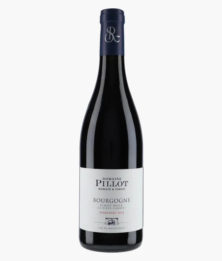PILLOT ROMAIN ET SIMON | Bourgogne Pinot Noir La Pièce Carrée 2024
