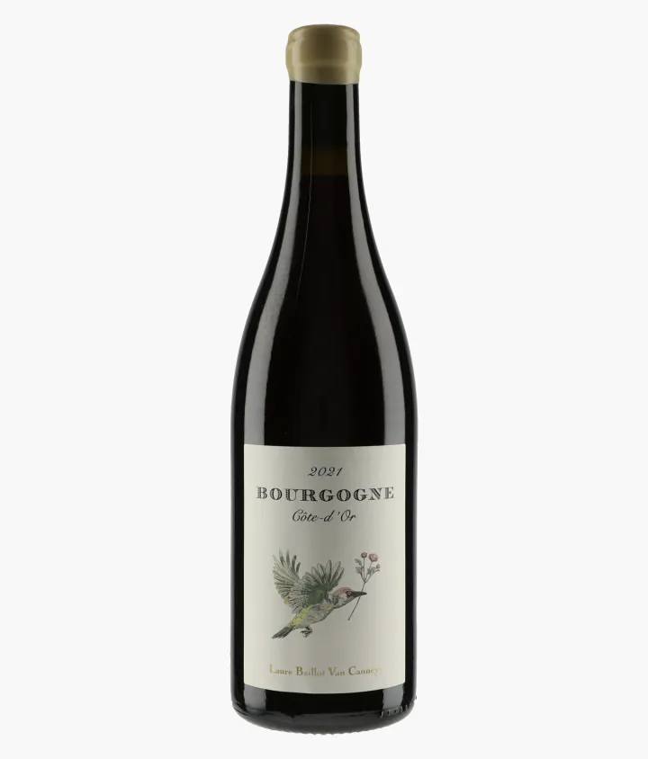 BAILLOT VAN CANNEYT LAURE | Bourgogne Côte d'Or 2021