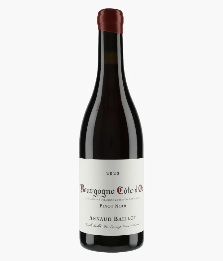 BAILLOT ARNAUD | Bourgogne Côte d'Or Pinot Noir 2023