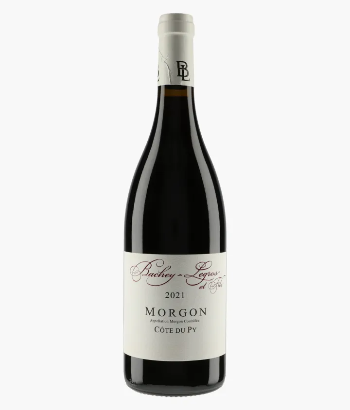 BACHEY-LEGROS | Morgon Côte du Py 2021