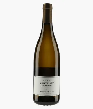 BAVARD JACQUES  | Santenay Sous Roche 2022