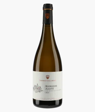 THOMAS-COLLARDOT | Bourgogne Aligoté 2023