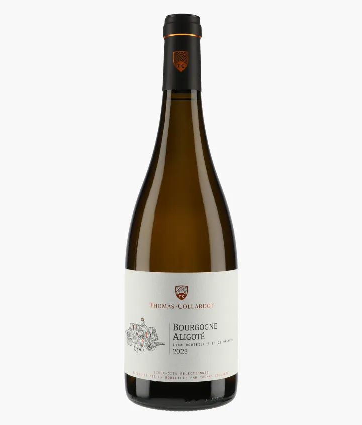 THOMAS-COLLARDOT | Bourgogne Aligoté 2023