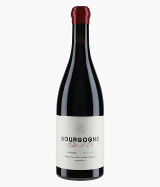 BOILLOT CAMILLE & GUILLAUME | Bourgogne Côte d'Or Pinot Noir 2024