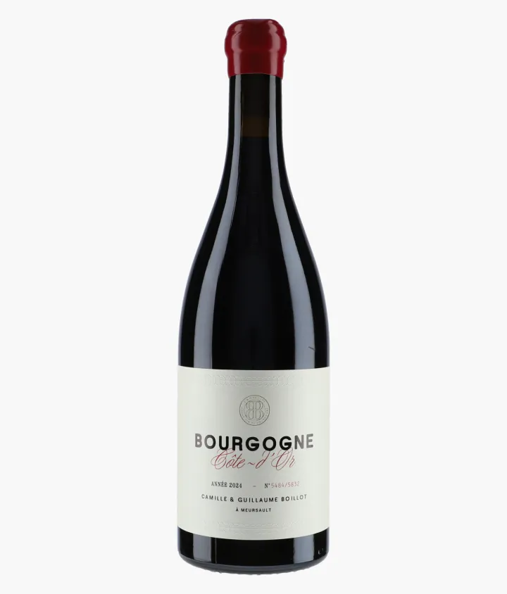 BOILLOT CAMILLE & GUILLAUME | Bourgogne Côte d'Or Pinot Noir 2024
