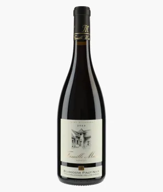 MASSE | Bourgogne Pinot Noir Côte Chalonnaise Vieilles Vignes 2023