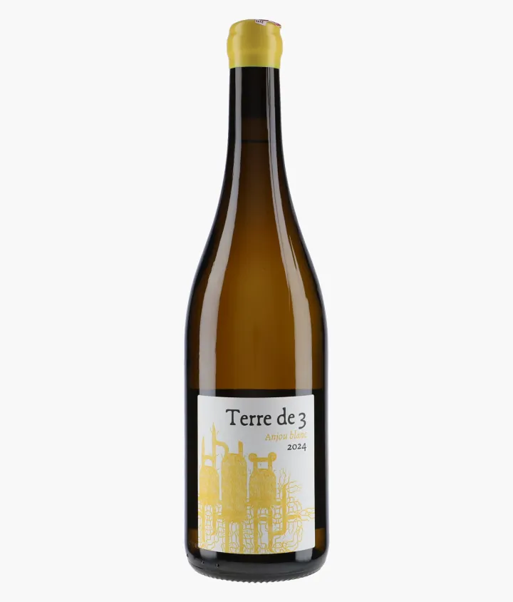 TERRA VITA VINUM | Anjou Terre de 3 2024
