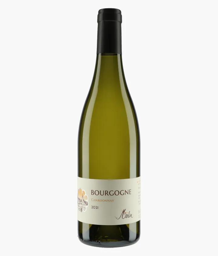MERLIN  | Bourgogne 2021