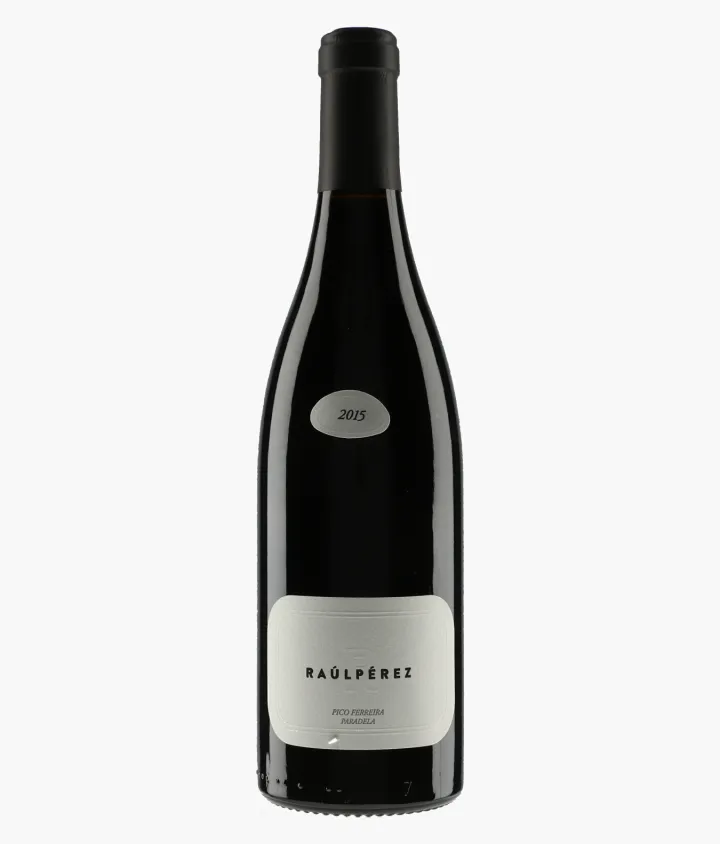 PEREZ RAUL | Paradela Pico Ferreira 2015