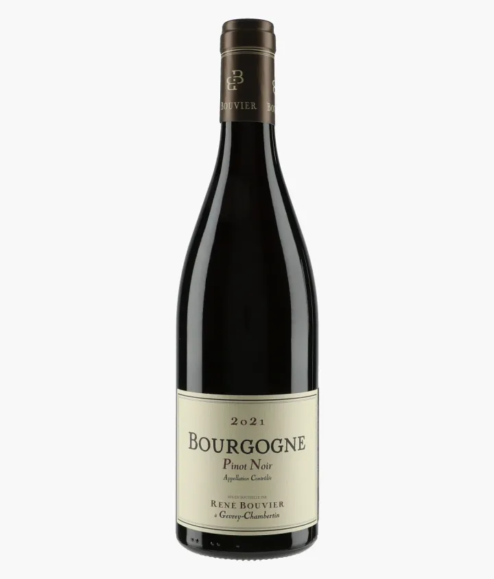 BOUVIER RENE | Bourgogne Pinot Noir 2021