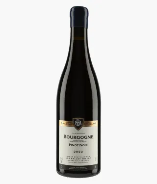 BALLOT-MILLOT | Bourgogne Pinot Noir 2022