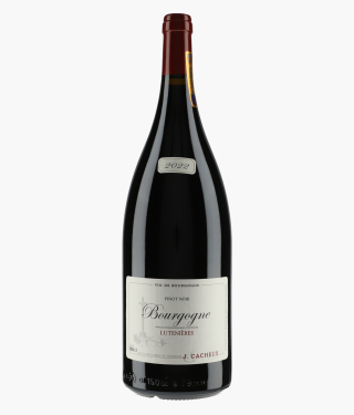 CACHEUX JACQUES | Bourgogne Pinot Noir Lutenières 2022