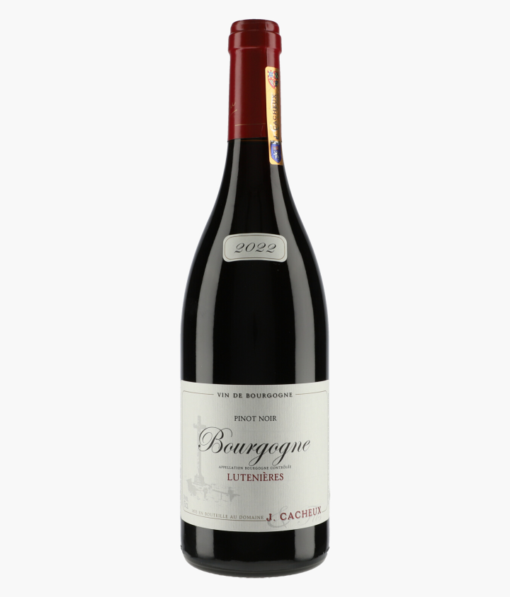 CACHEUX JACQUES | Bourgogne Pinot Noir Lutenières 2022