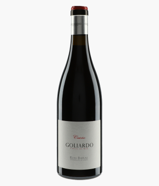 FORJAS DEL SALNES | Goliardo Caino 2017