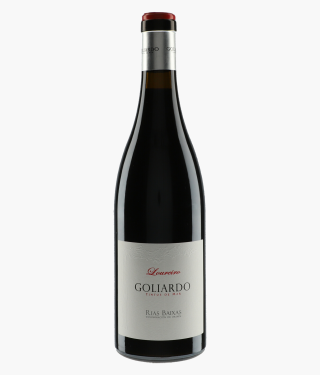 FORJAS DEL SALNES | Goliardo Loureiro 2016
