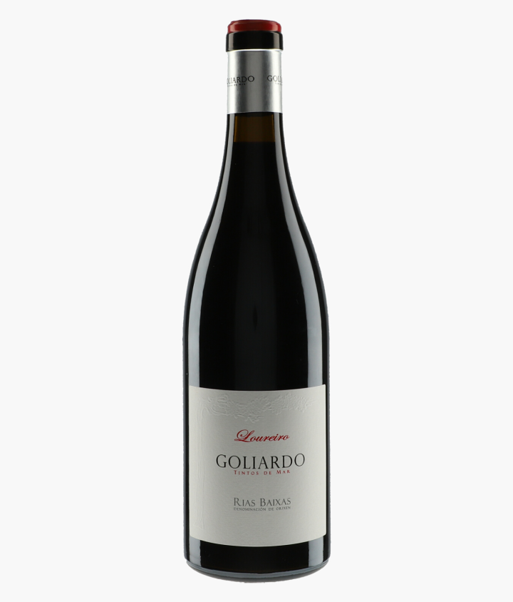 FORJAS DEL SALNES | Goliardo Loureiro 2016
