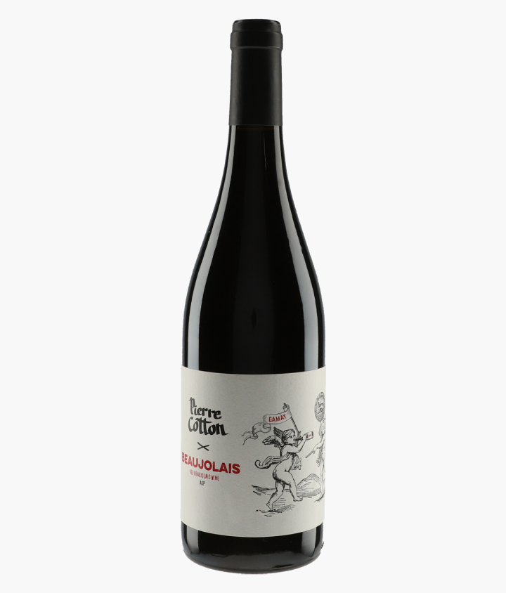 COTTON PIERRE | Beaujolais 2018