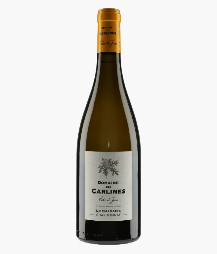 CARLINES | Côte du Jura Le Calvaire 2017