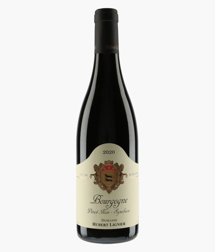 LIGNIER HUBERT | Bourgogne Pinot Noir Symbiose 2020