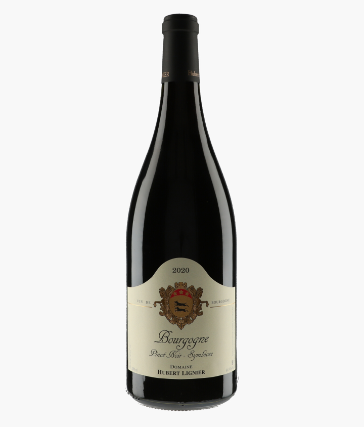 LIGNIER HUBERT | Bourgogne Pinot Noir Symbiose 2020