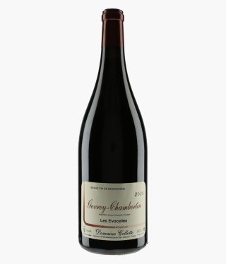COLLOTTE | Gevrey-Chambertin Les Evocelles 2020