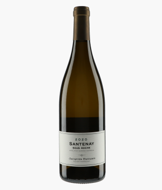 BAVARD JACQUES  | Santenay Sous Roche 2020