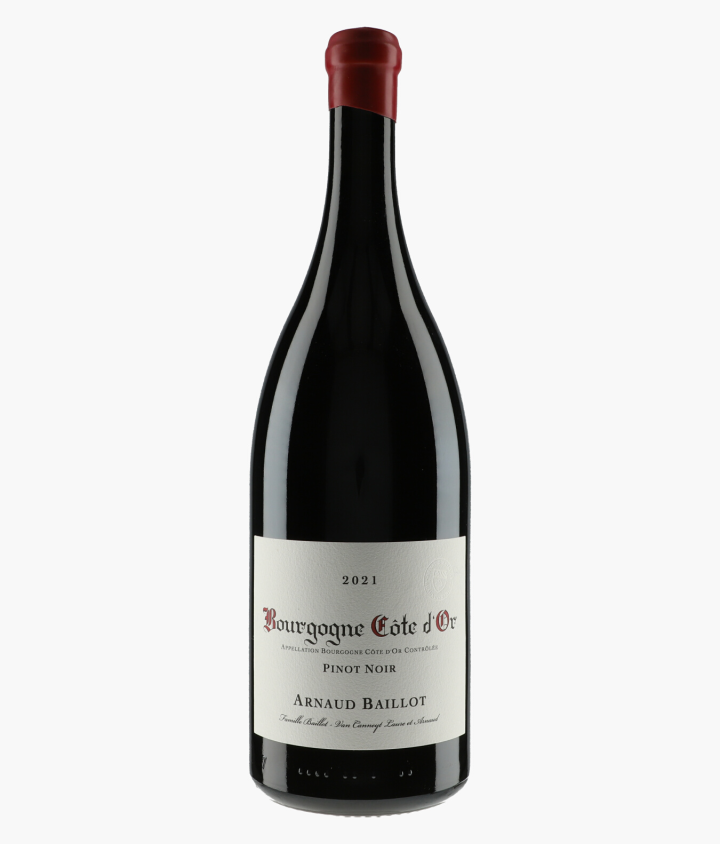 BAILLOT ARNAUD | Bourgogne Côte d'Or Pinot Noir 2021