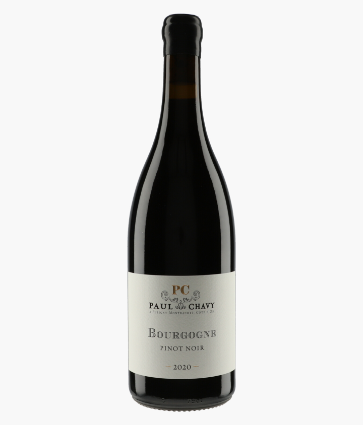CHAVY PAUL | Bourgogne Pinot Noir 2020