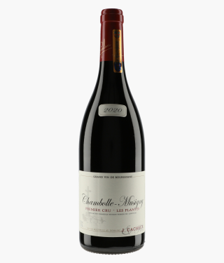 CACHEUX JACQUES | Chambolle-Musigny 1er Cru Les Plantes 2020