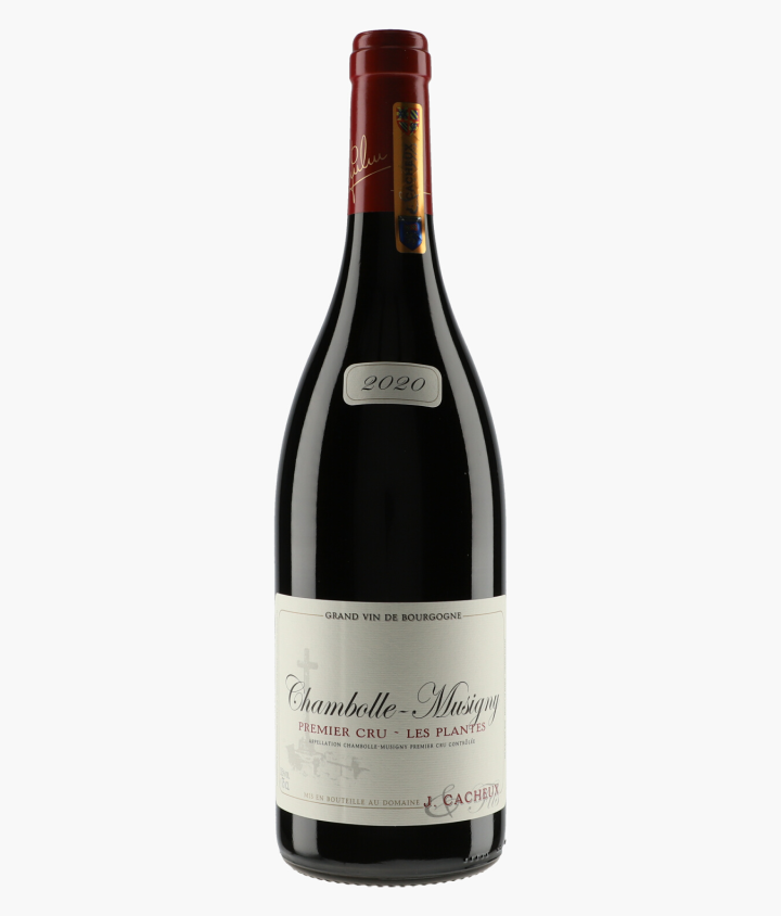 CACHEUX JACQUES | Chambolle-Musigny 1er Cru Les Plantes 2020