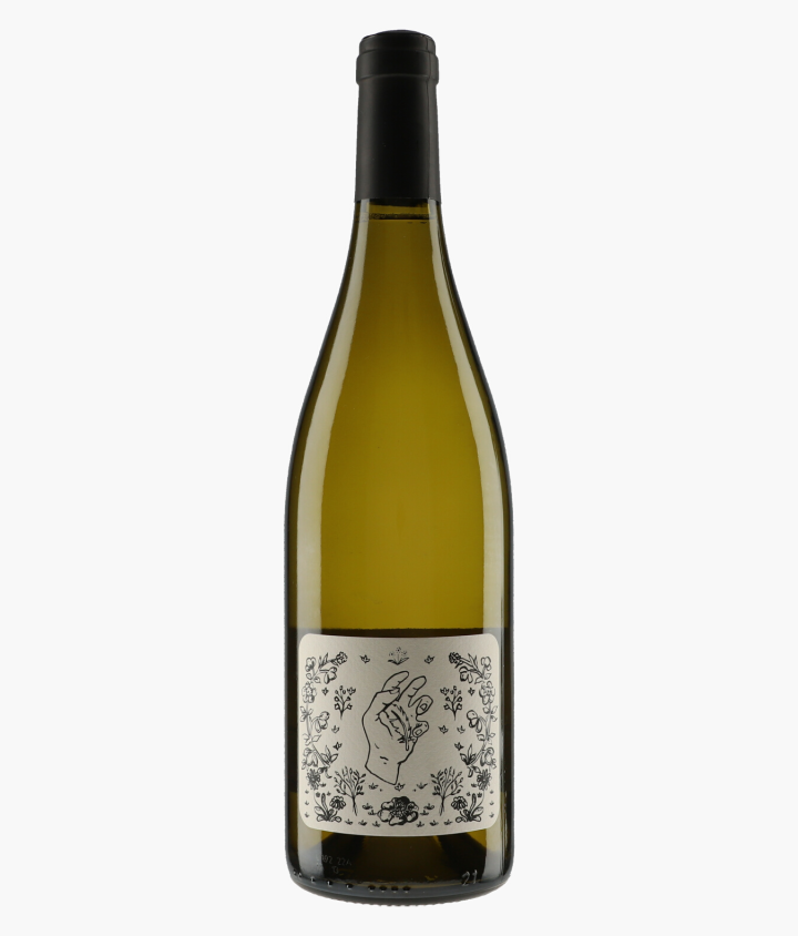 PLUME Par AYMERIC GEANTET  | Cuvée Origine Vin de France 2021