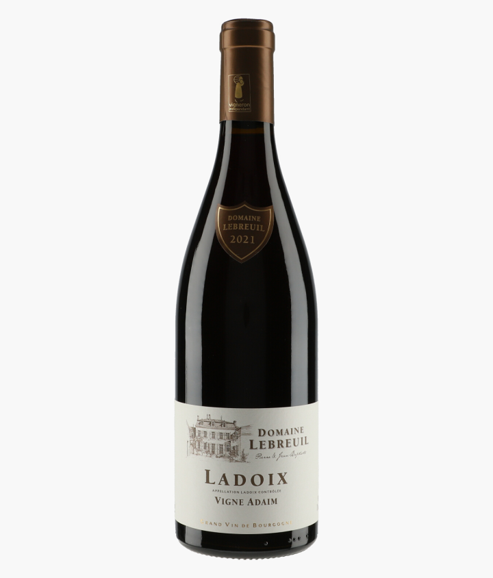 LEBREUIL PIERRE & J-B | Ladoix Vigne Adaim 2021