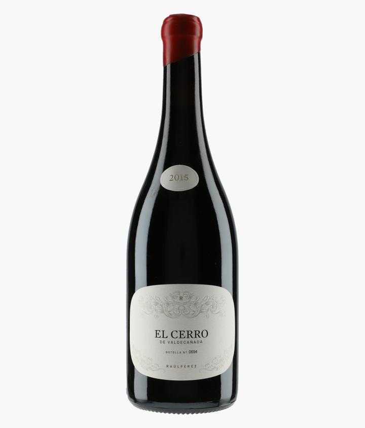 PEREZ RAUL | El Cerro de Valdecanada 2015