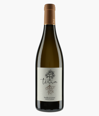 MOULIN DE GASSAC | Terra Blanc 2022