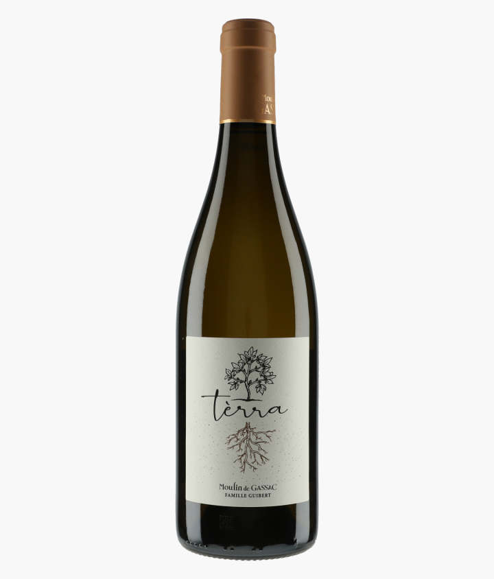 MOULIN DE GASSAC | Terra Blanc 2022