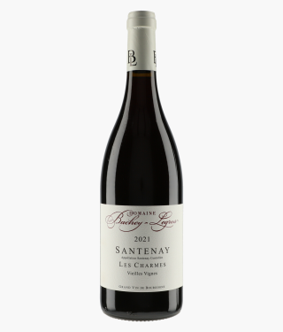 BACHEY-LEGROS | Santenay Les Charmes Vieilles Vignes 2021