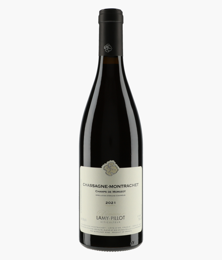 LAMY-PILLOT | Chassagne-Montrachet Champs de Morgeot 2021