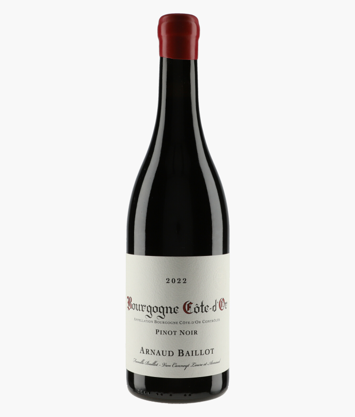BAILLOT ARNAUD | Bourgogne Côte d'Or Pinot Noir 2022