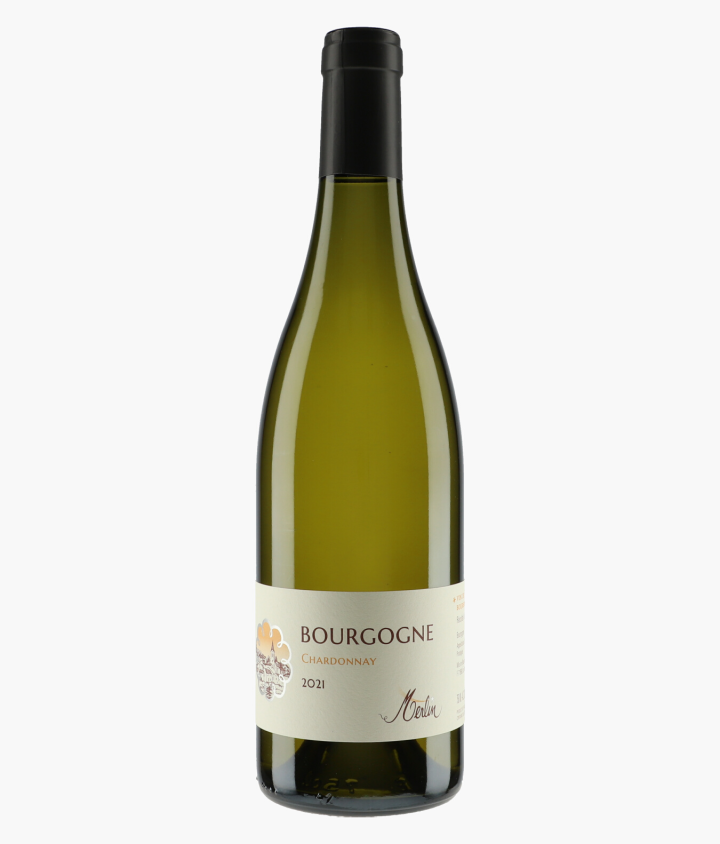MERLIN  | Bourgogne 2021