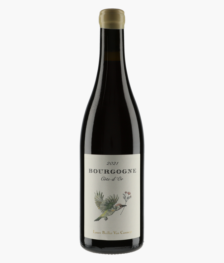 BAILLOT VAN CANNEYT LAURE | Bourgogne Côte d'Or 2021