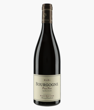 Bourgogne Pinot Noir