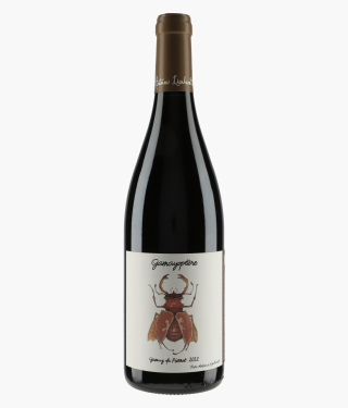 LIENHARDT ANTOINE | Côteaux Bourguignons Gamayoptère Gamay du Pierrot 2022