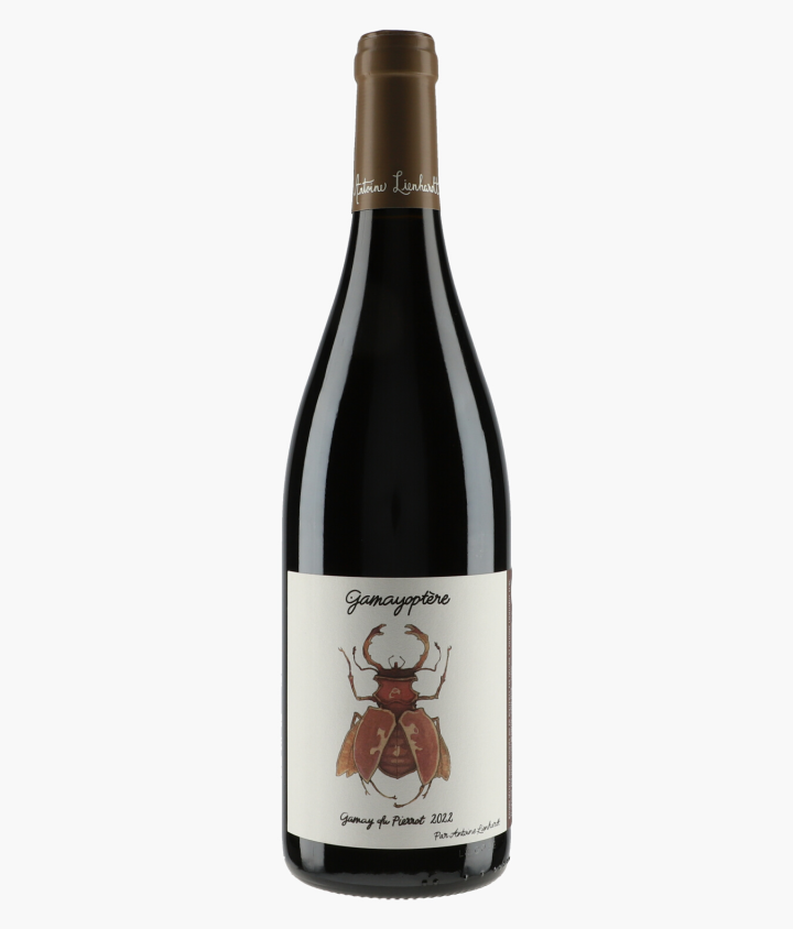 LIENHARDT ANTOINE | Côteaux Bourguignons Gamayoptère Gamay du Pierrot 2022