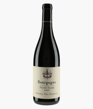 VAN CANNEYT CHARLES | Bourgogne Pinot Noir 2022