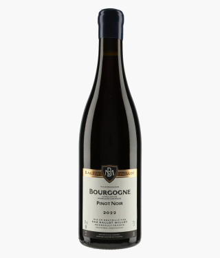 BALLOT-MILLOT | Bourgogne Pinot Noir 2022